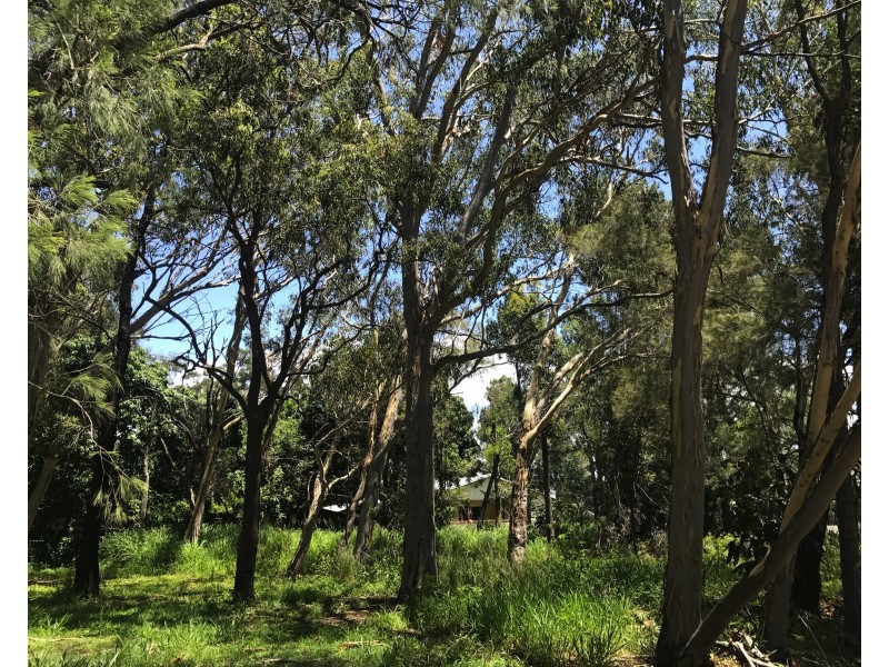 10 Allambie Street, Macleay Island QLD 4184