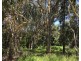 10 Allambie Street, Macleay Island QLD 4184