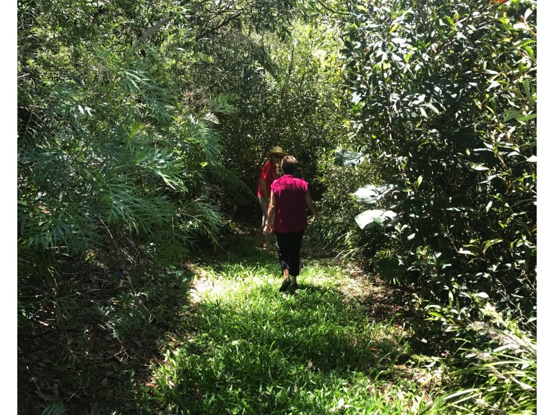 37 Coondooroopa Dr, Macleay Island QLD 4184