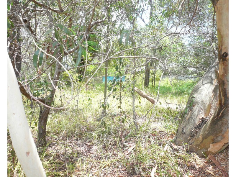 91 High Central Rd, Macleay Island QLD 4184