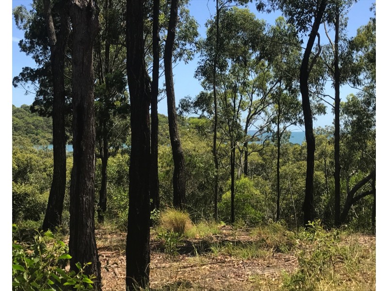 11 Beelong Street, Macleay Island QLD 4184