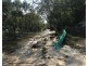 22 Orana St, Macleay Island QLD 4184