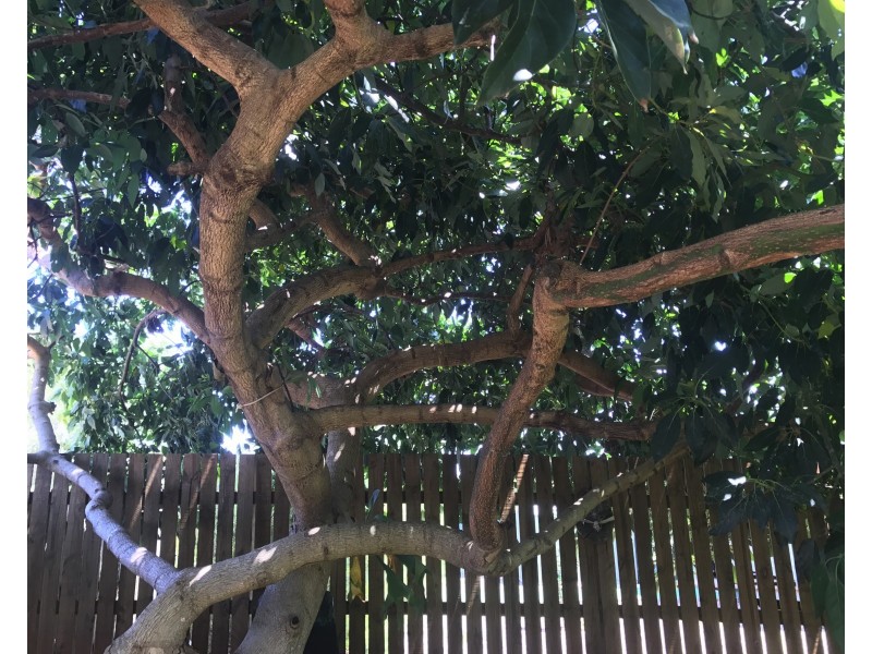 30 Lonicera St, Macleay Island QLD 4184