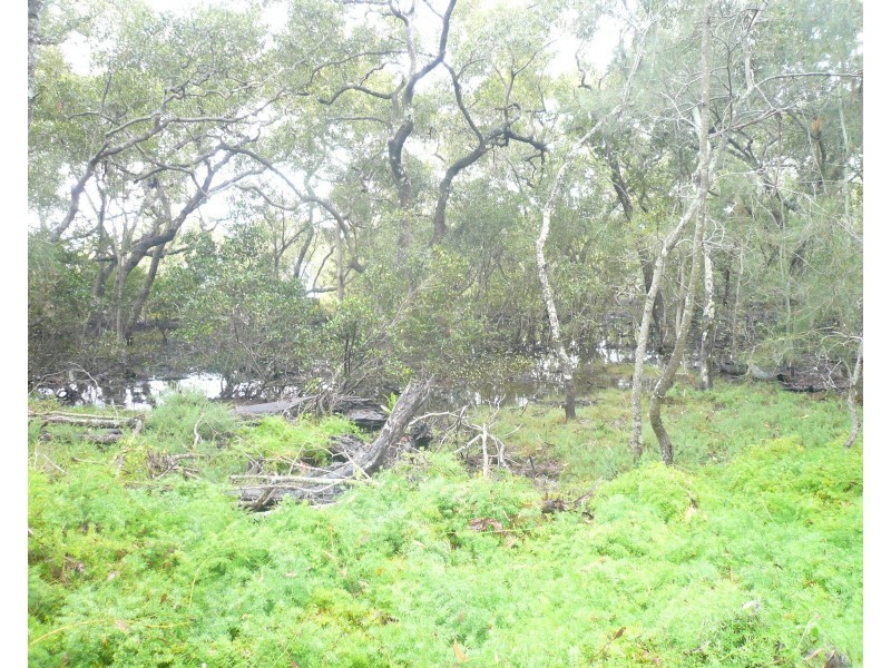 21 Beelong St, Macleay Island QLD 4184