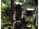 4 Warama St, Macleay Island QLD 4184