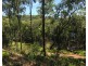 19 Beelong St, Macleay Island QLD 4184