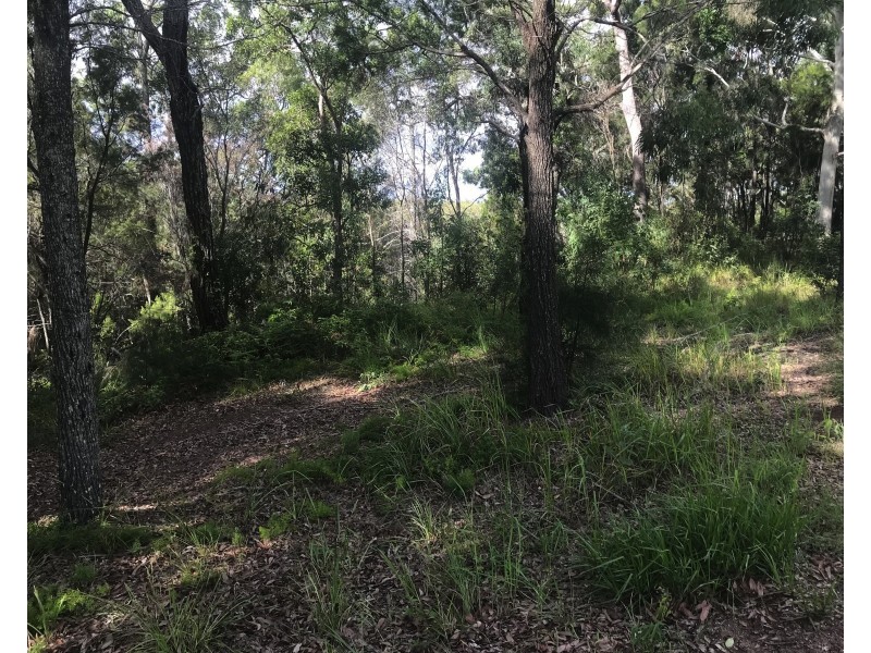 19 Beelong St, Macleay Island QLD 4184