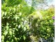 41 Brighton Rd, Macleay Island QLD 4184
