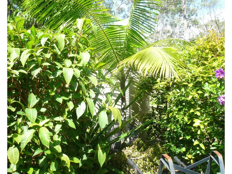 41 Brighton Rd, Macleay Island QLD 4184