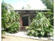 41 Brighton Rd, Macleay Island QLD 4184
