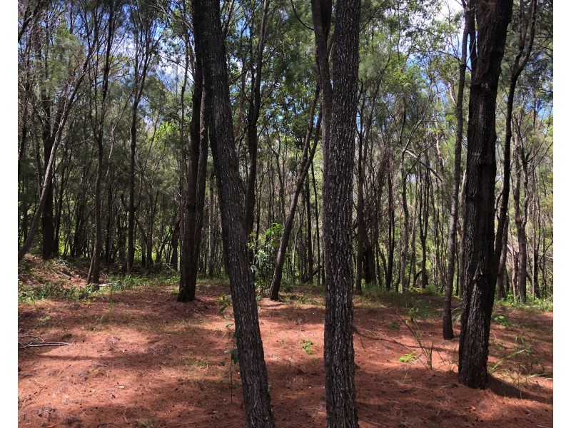 33 Aquamarine Avenue, Russell Island QLD 4184