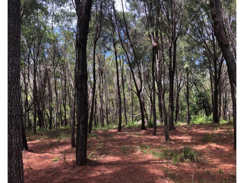 33 Aquamarine Avenue, Russell Island QLD 4184