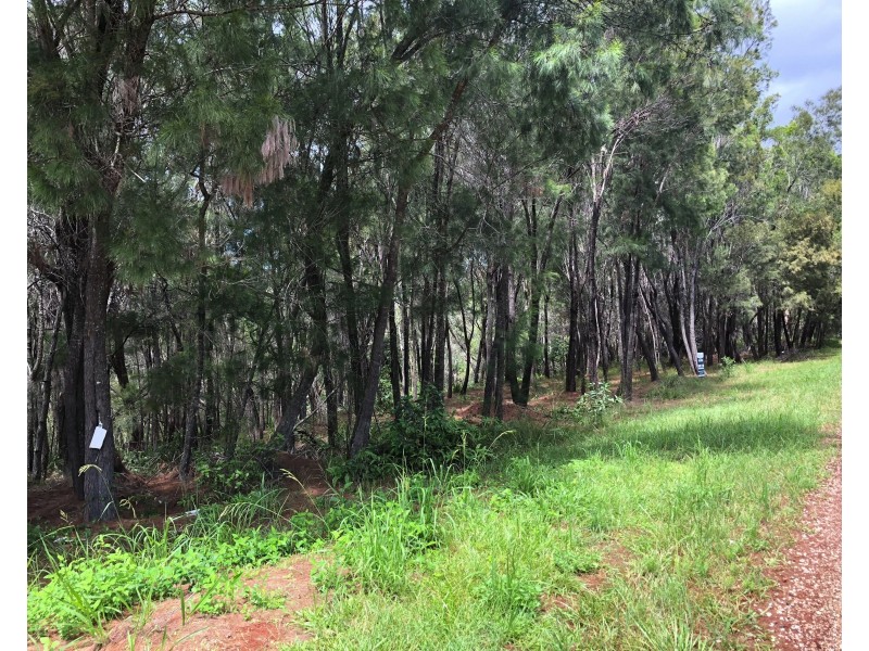 33 Aquamarine Avenue, Russell Island QLD 4184