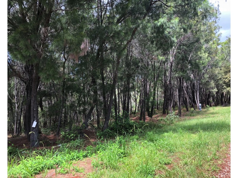 33 Aquamarine Avenue, Russell Island QLD 4184