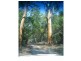 4/ Williams Avenue, Fraser Island QLD 4581