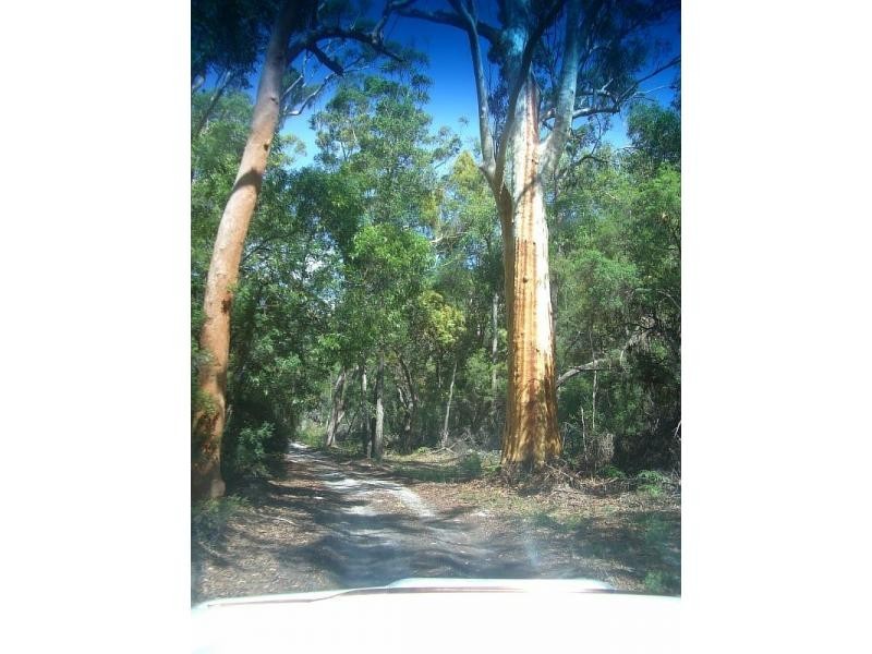 4/ Williams Avenue, Fraser Island QLD 4581