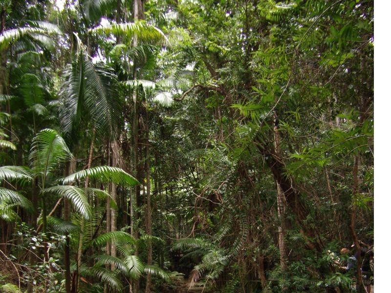 9/ Williams Avenue, Fraser Island QLD 4581