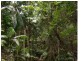 9/ Williams Avenue, Fraser Island QLD 4581