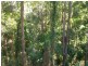 Buderim QLD 4556