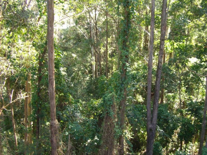 Buderim QLD 4556