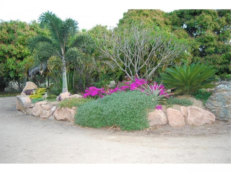 Alligator Creek QLD 4816