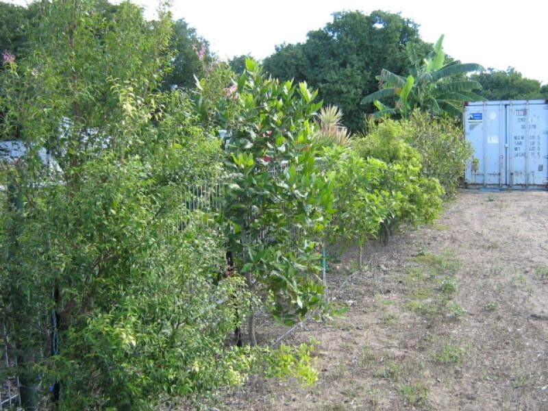 Lot 4 Koppe Place, Cleveland Palms, Nome QLD 4816