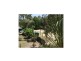 Cungulla QLD 4816