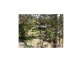 Cungulla QLD 4816