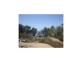 Cungulla QLD 4816