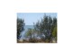 Cungulla QLD 4816