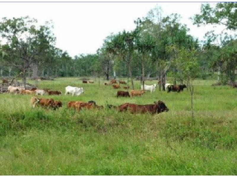 Majors Creek QLD 4816