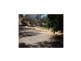 Cungulla QLD 4816