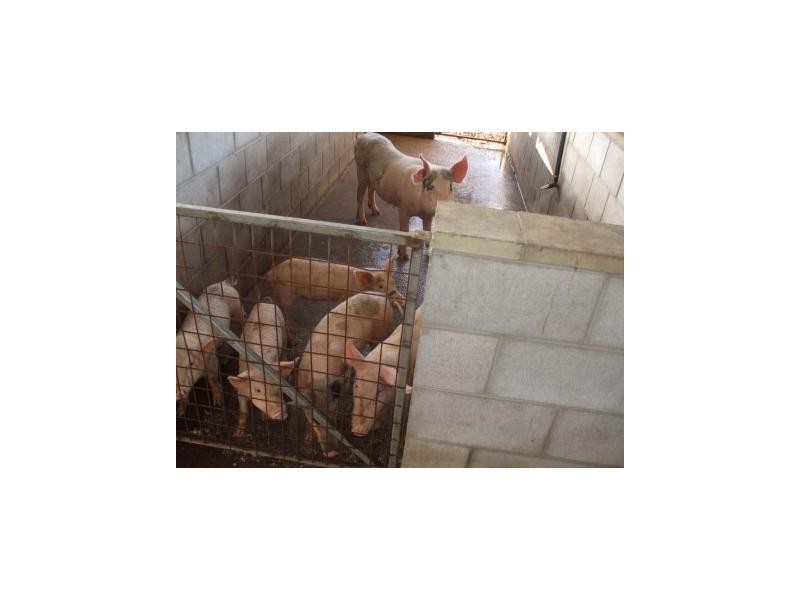 701 Black River Road, Hervey Range QLD 4817