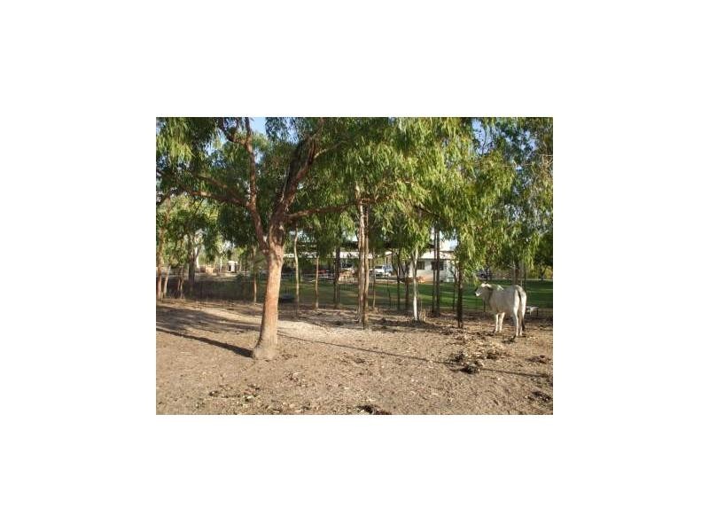 701 Black River Road, Hervey Range QLD 4817