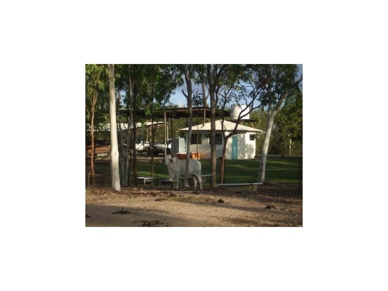 701 Black River Road, Hervey Range QLD 4817