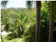Alligator Creek QLD 4816