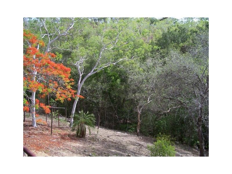 20 Mount Clifton Court, Alligator Creek QLD 4816