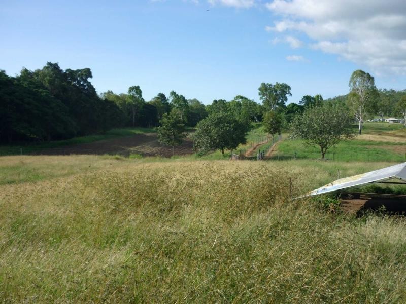 Lot 5, 257 Williams Road, Alligator Creek QLD 4816