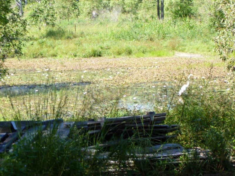 Nome QLD 4816