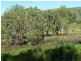 Nome QLD 4816