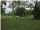 Alligator Creek QLD 4816