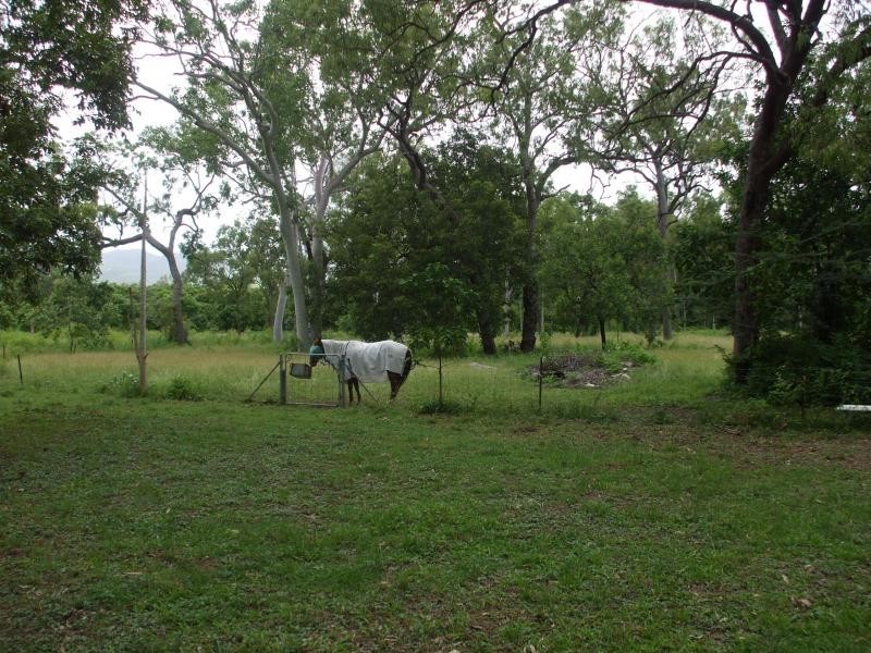 Alligator Creek QLD 4816