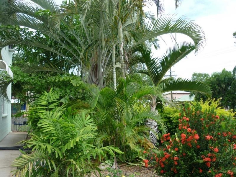 Cungulla QLD 4816