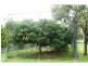 Cungulla QLD 4816