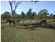 Alligator Creek QLD 4816