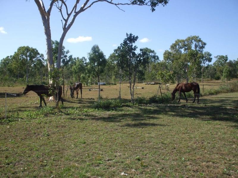 Alligator Creek QLD 4816