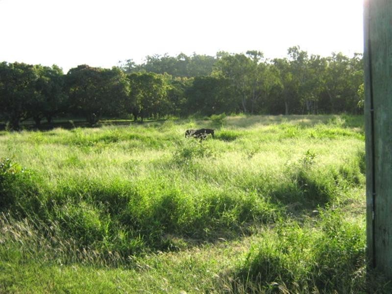Alligator Creek QLD 4816