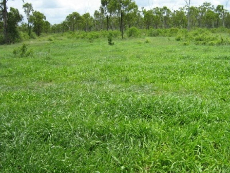 Woodstock QLD 4816