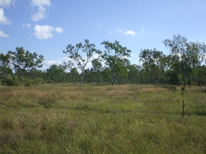 Majors Creek QLD 4816