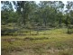 Majors Creek QLD 4816